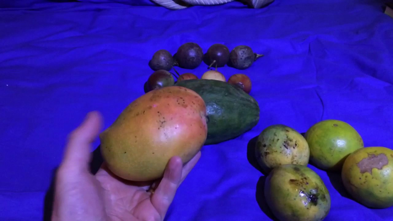 Tropical fruits in Kenya