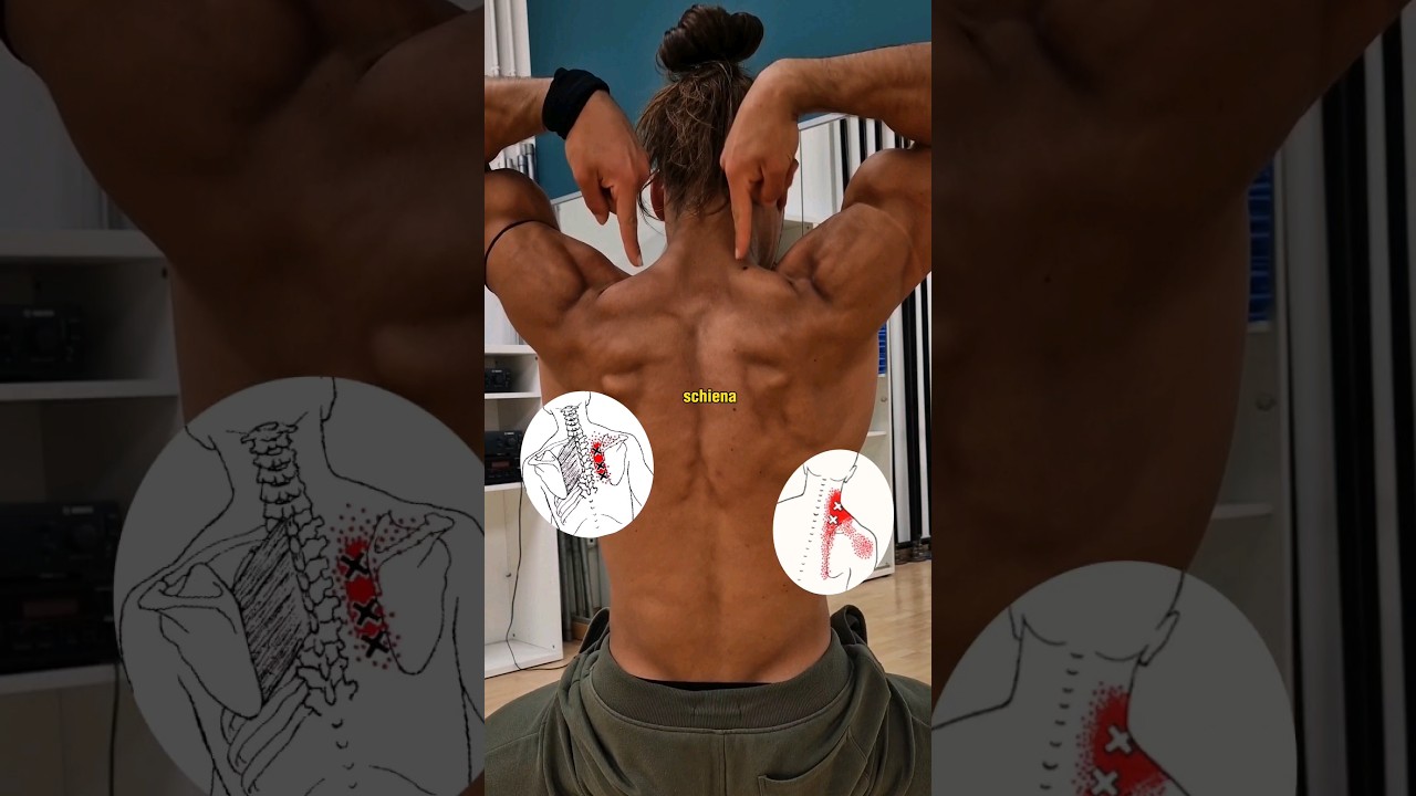 Se soffri di DOLORE tra LE SCAPOLE devi... #workout