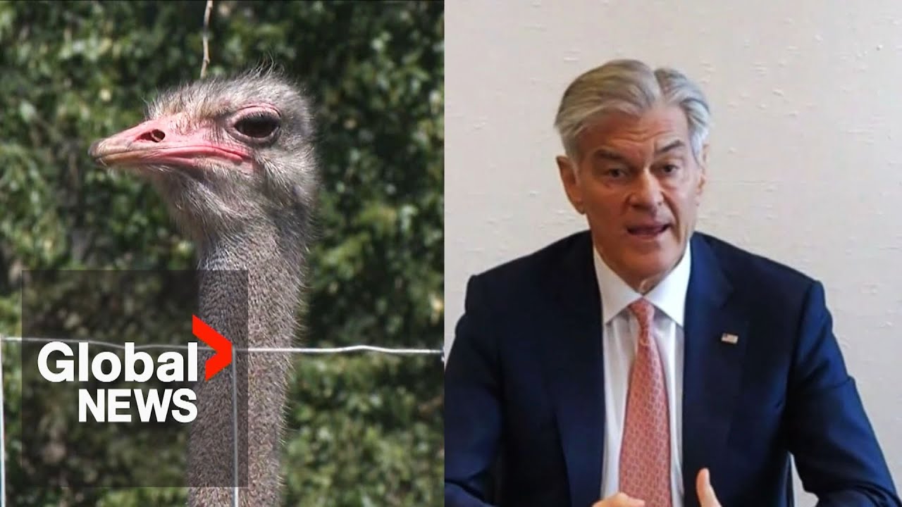 US billionaire and Dr. Oz rally for BC ostrich farm ahead of planned cull