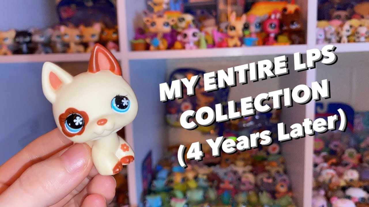 MY ENTIRE LPS COLLECTION (4 YEARS LATER)
