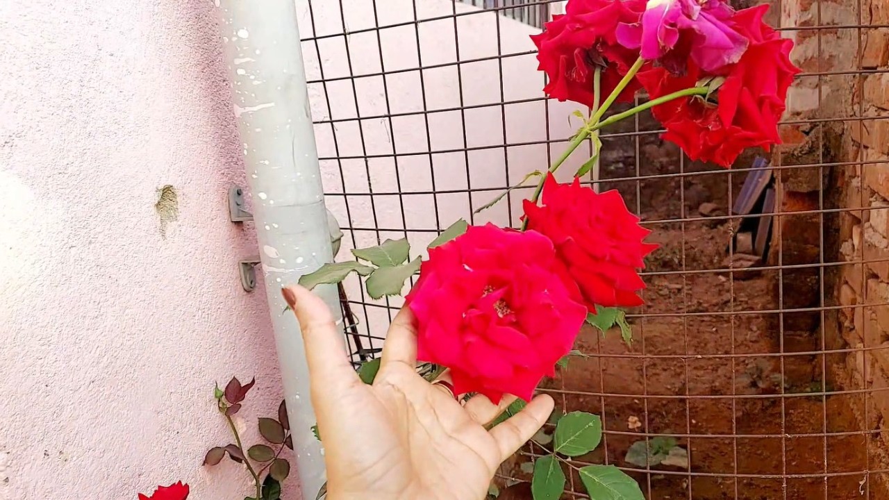 House Tour କେନ୍ଦୁଝର!!!😛💥😎#dailyvideo #odiatravelvlog