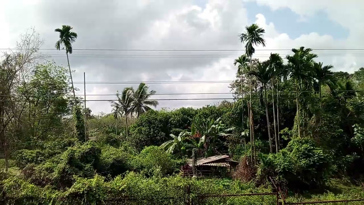 รถไฟออนทัวร์ channel 