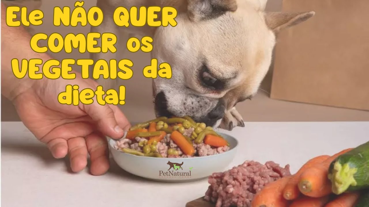 Cachorro não quer comer os vegetais da Alimentação Natural! O que fazer? E por que precisa incluir?