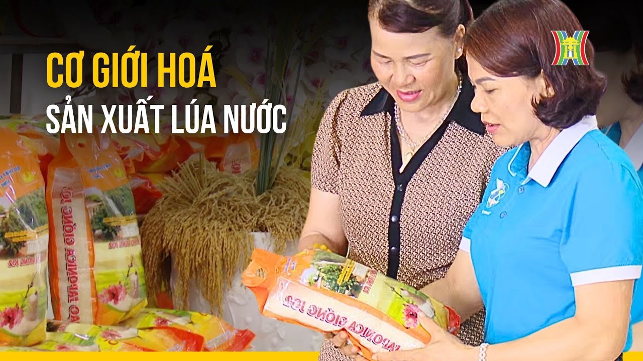 Cơ giới hoá trong sản xuất lúa nước | Nông nghiệp đô thị