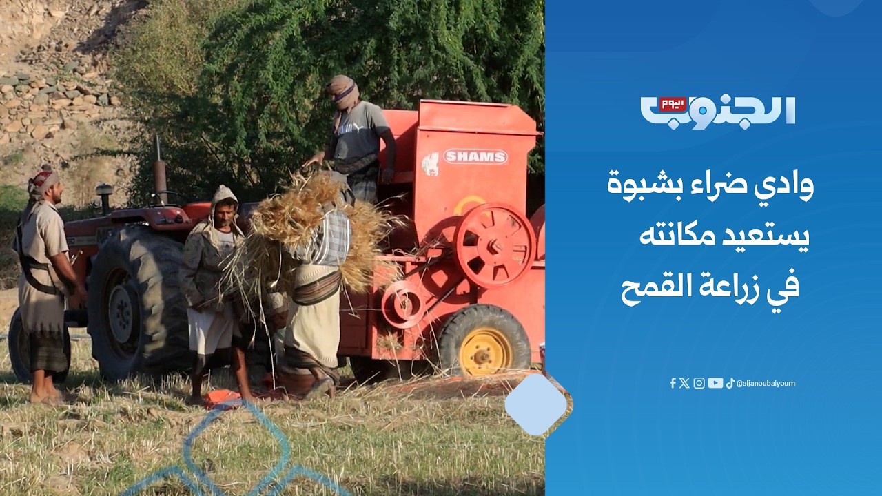 التوسع الزراعي في شبوة.. ركيزة أساسية لتعزيز الأمن الغذائي