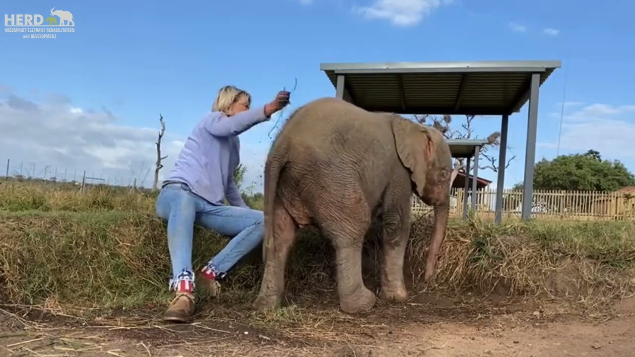 Two Inspiring Women Behind HERD - South Africa's First Dedicated Elephant Orphanage