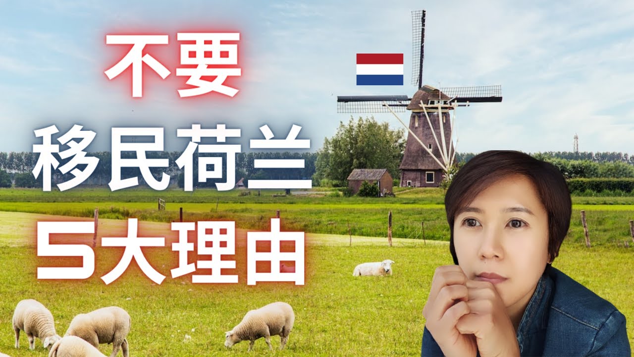 (Eng Subs) 荷兰 | 不要移民荷兰的原因 | Why you shouldn't move to the Netherlands
