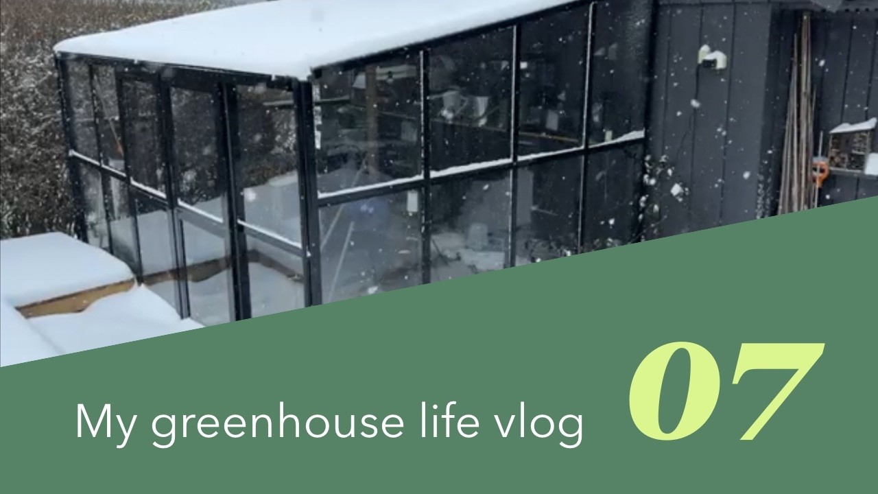 Greenhouse week 7 | Thinking small, early sowing in winter