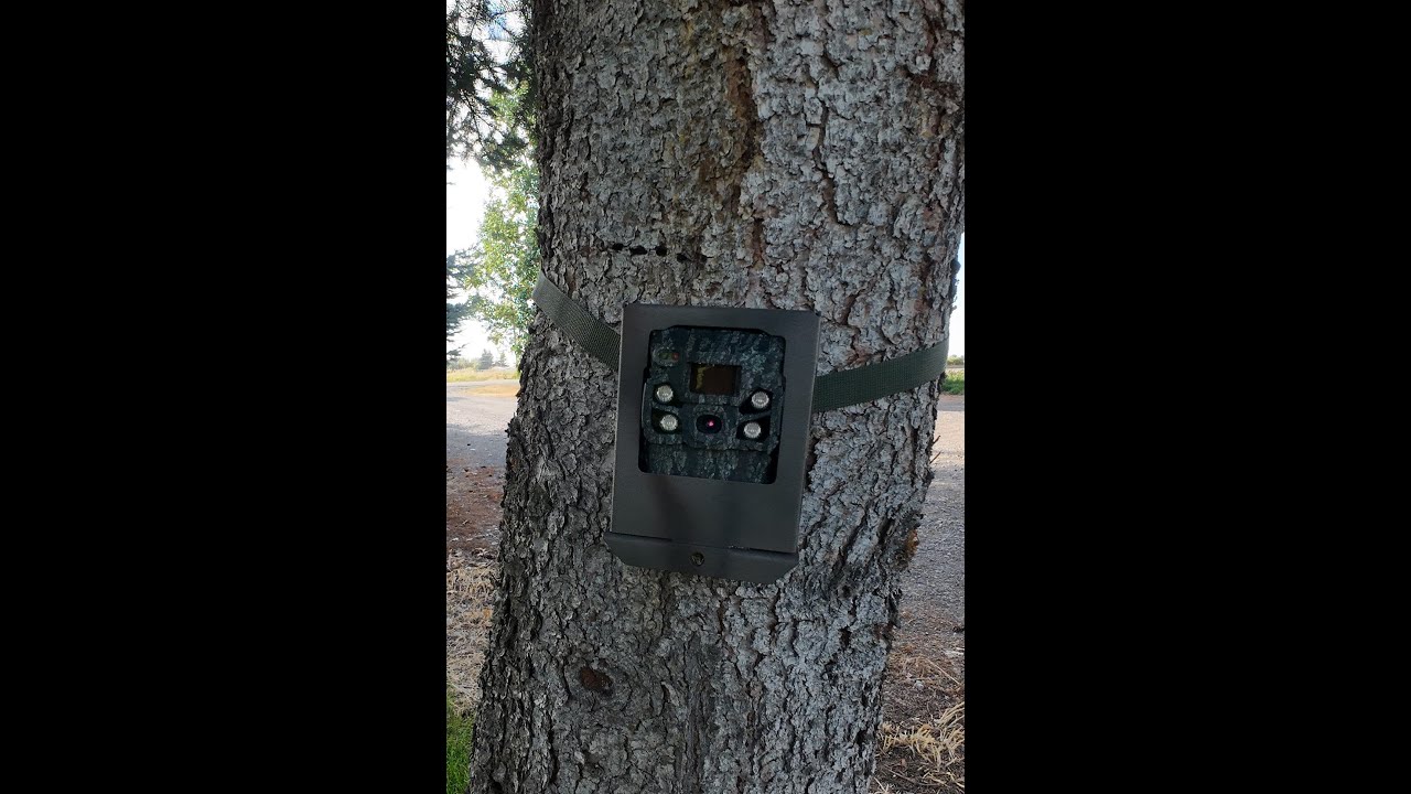 Trail Camera, CamLock Security Box vs Browning Security Box