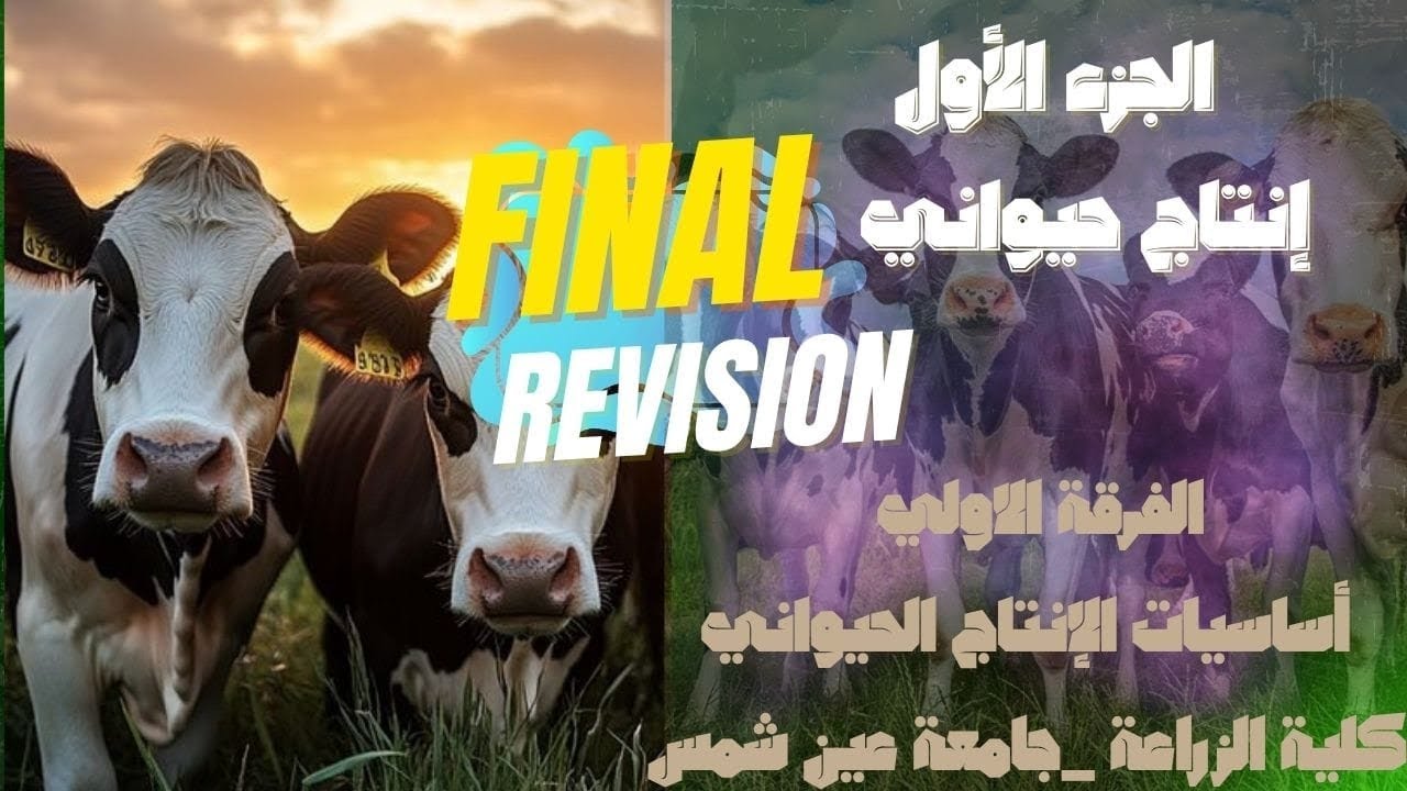 مراجعة مادة إنتاج حيواني فرقة أولي|ليلة الإمتحان| هنلم المادة في شوال🤩.