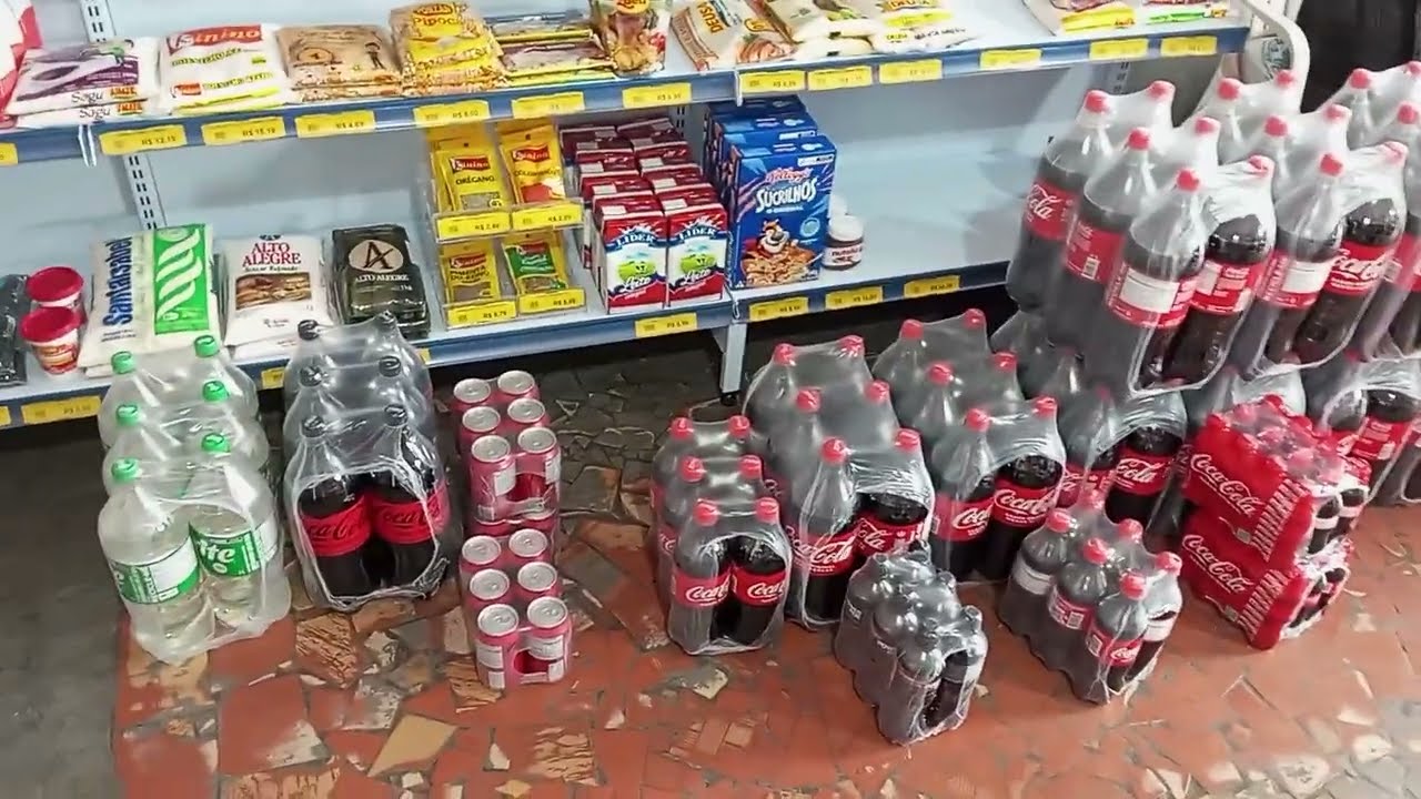 Reposição, perspectivas de futuro e felinos