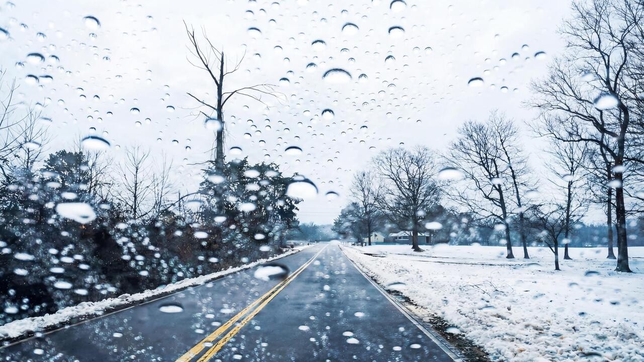 ASMR Дождя в Заснеженном Лесу ☔️ Уникальные Звуки Природы