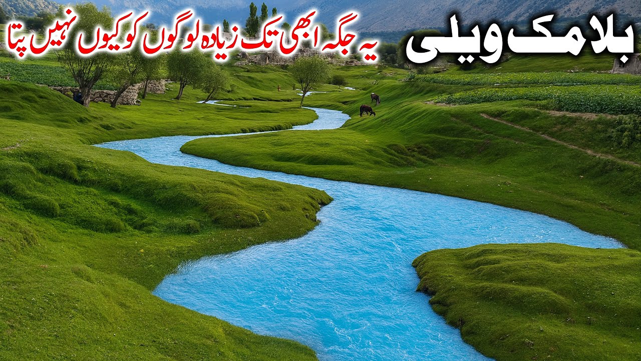 Bilamik Valley – One of the Most Peaceful Places in Pakistan – EP:36