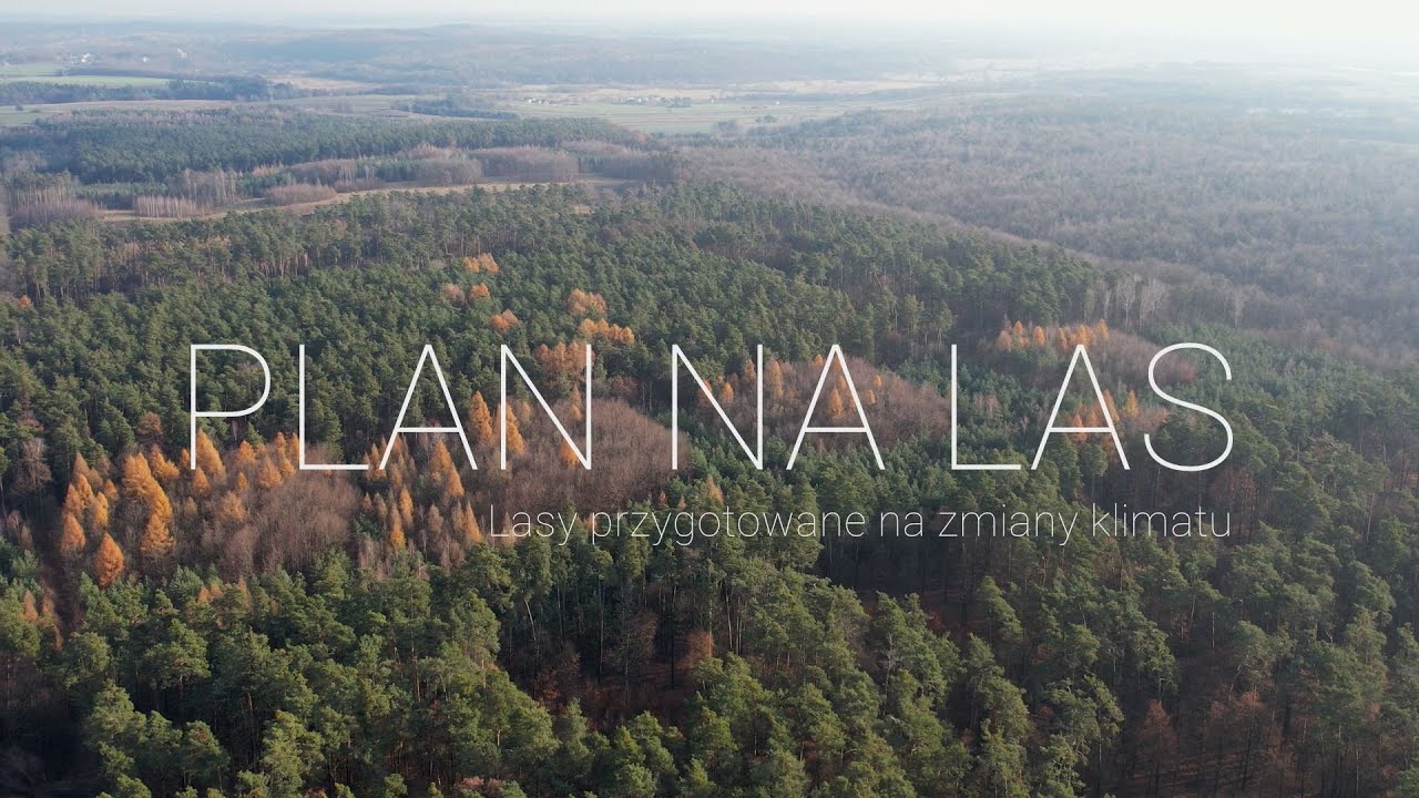 LOKALNA.TV | Plan na las | odc.2 | LOKALNA.TV