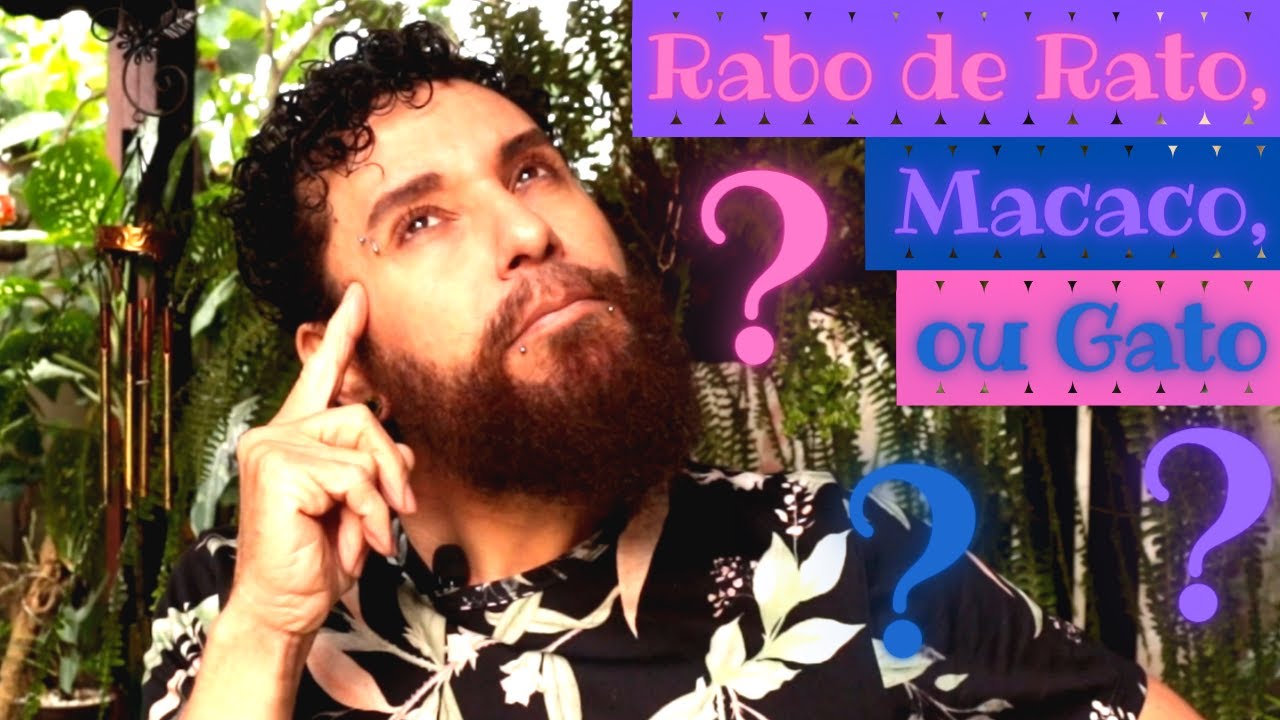 SUPER DICAS para diferenciar e saber se seu CACTO é o RABO DE MACACO, RABO DE GATO ou RABO DE RATO.