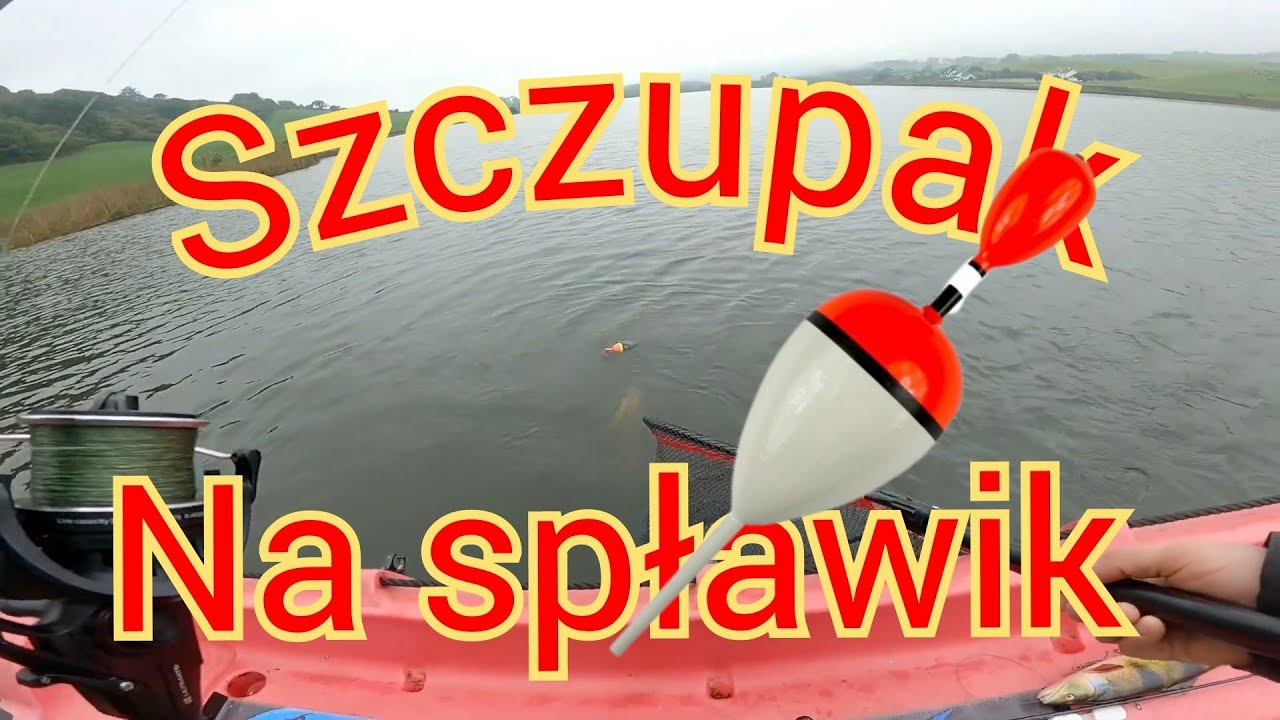Branie szczupaka na splawik