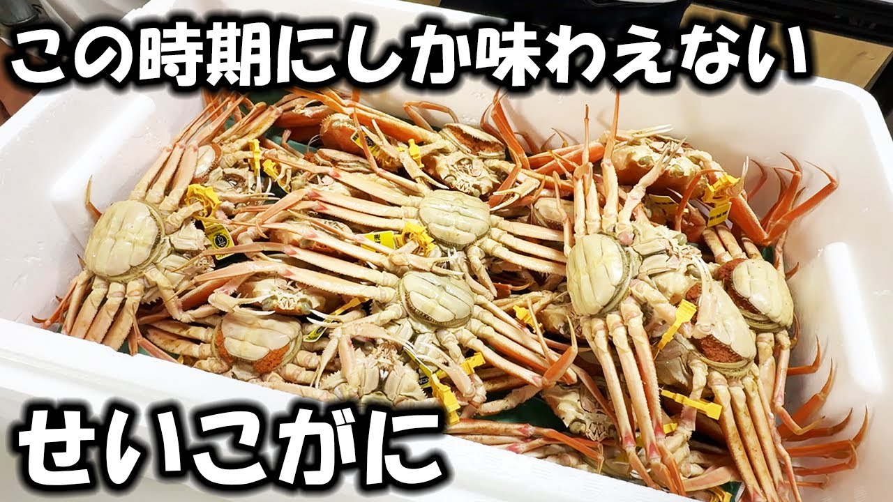 今しか食べれない貴重な蟹をむさぼります！