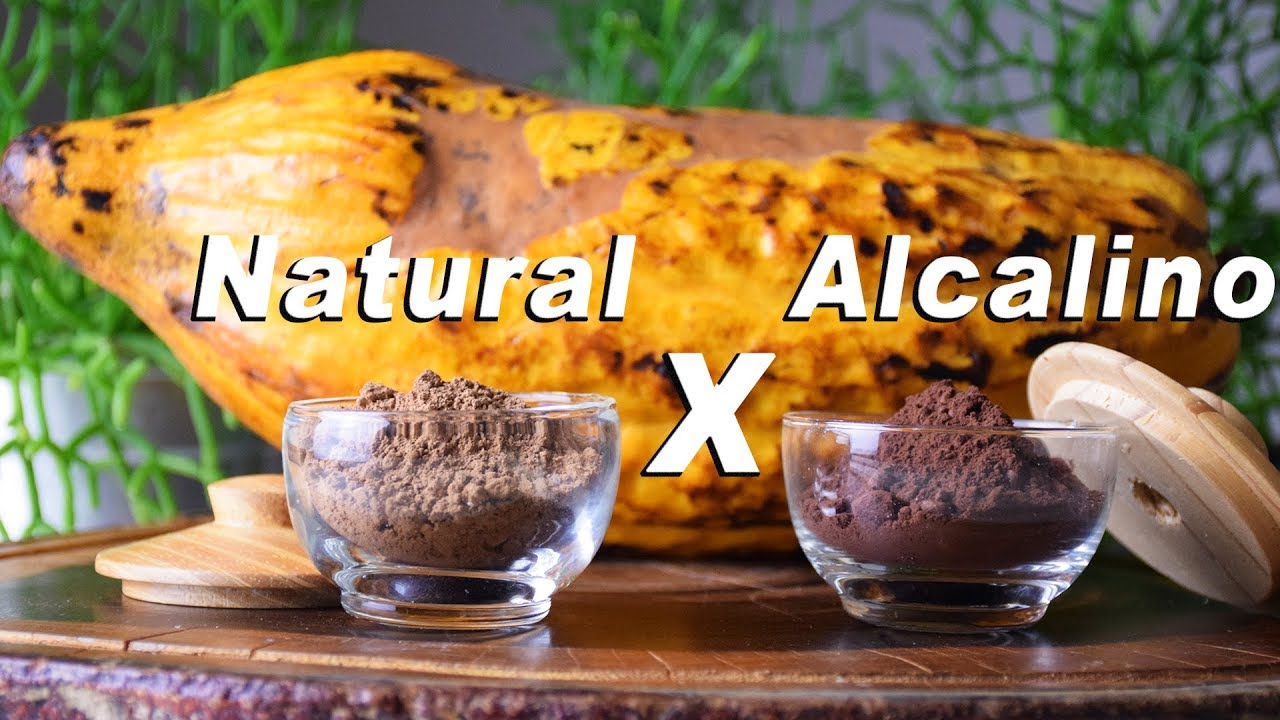 CACAU EM PÓ NATURAL OU ALCALINO? DIFERENÇAS E COMO IDENTIFICAR | BOLOS BAFÔNICOS