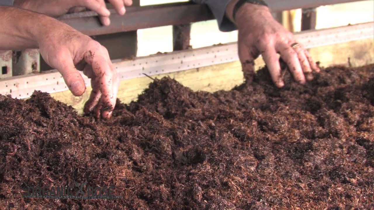 SONOMA WORM FARM - THE ORGANIC ROSE