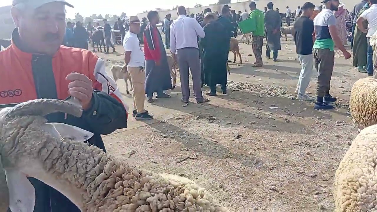 مباشرة من سوق إلاتنين برشيد ألاتمة مناسبة يوم/02/06/2025