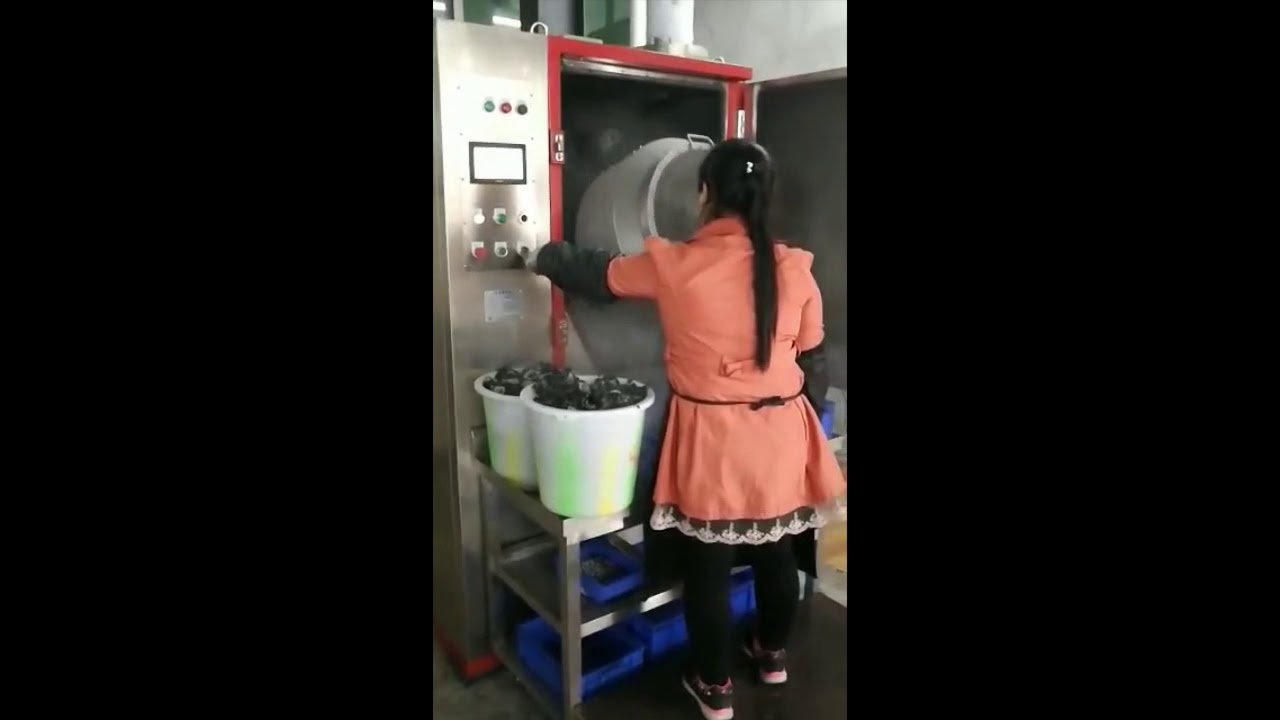 PG-120T China PEGE  Cryogenic Deflashing Machine Whole Operation Process