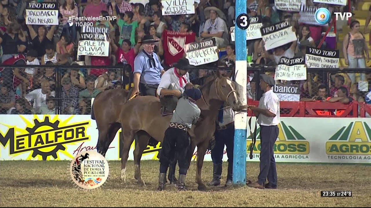 Jineteada en la 7° noche del Festival de Jesús María 2016 (Tanda 1)