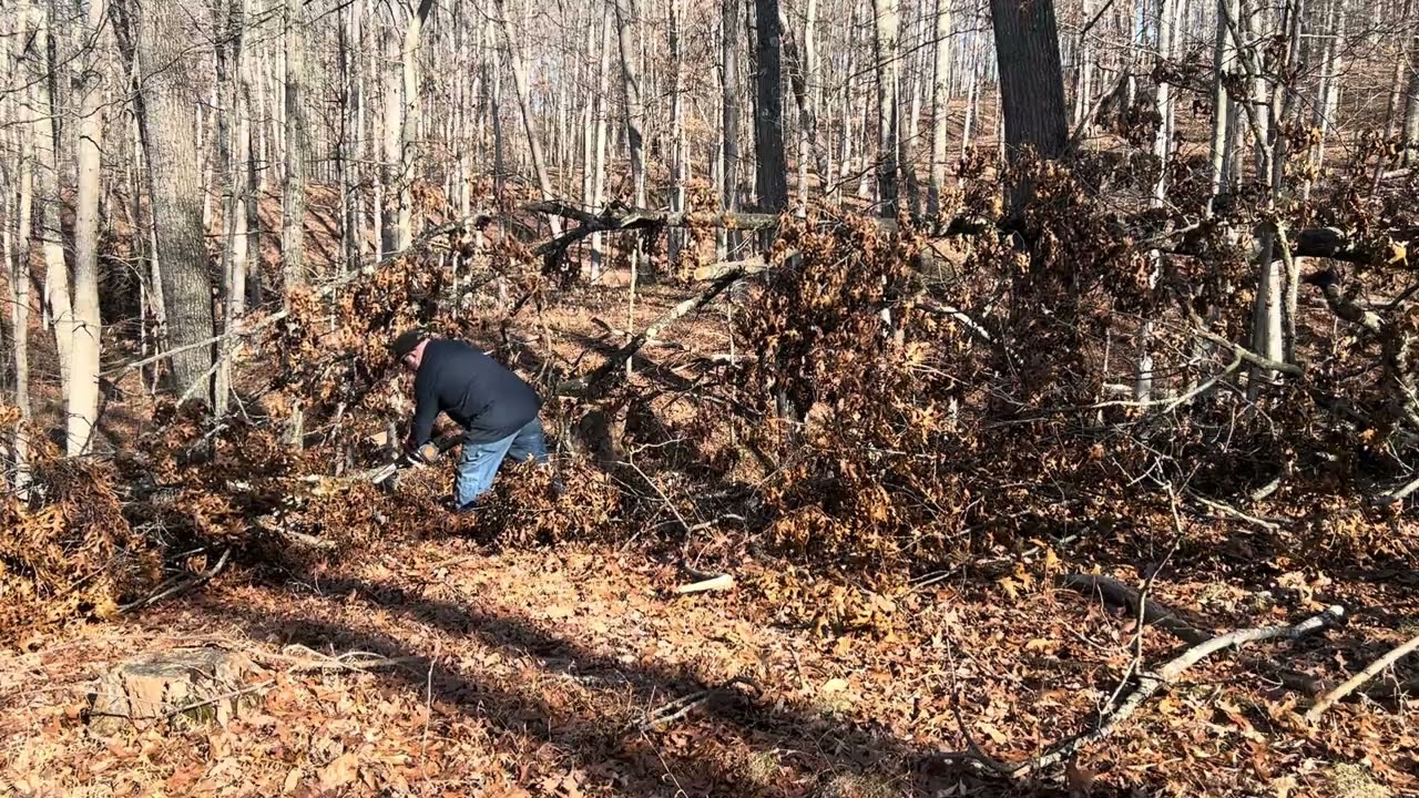 Ported RR/holzfforma G111 😎🦎