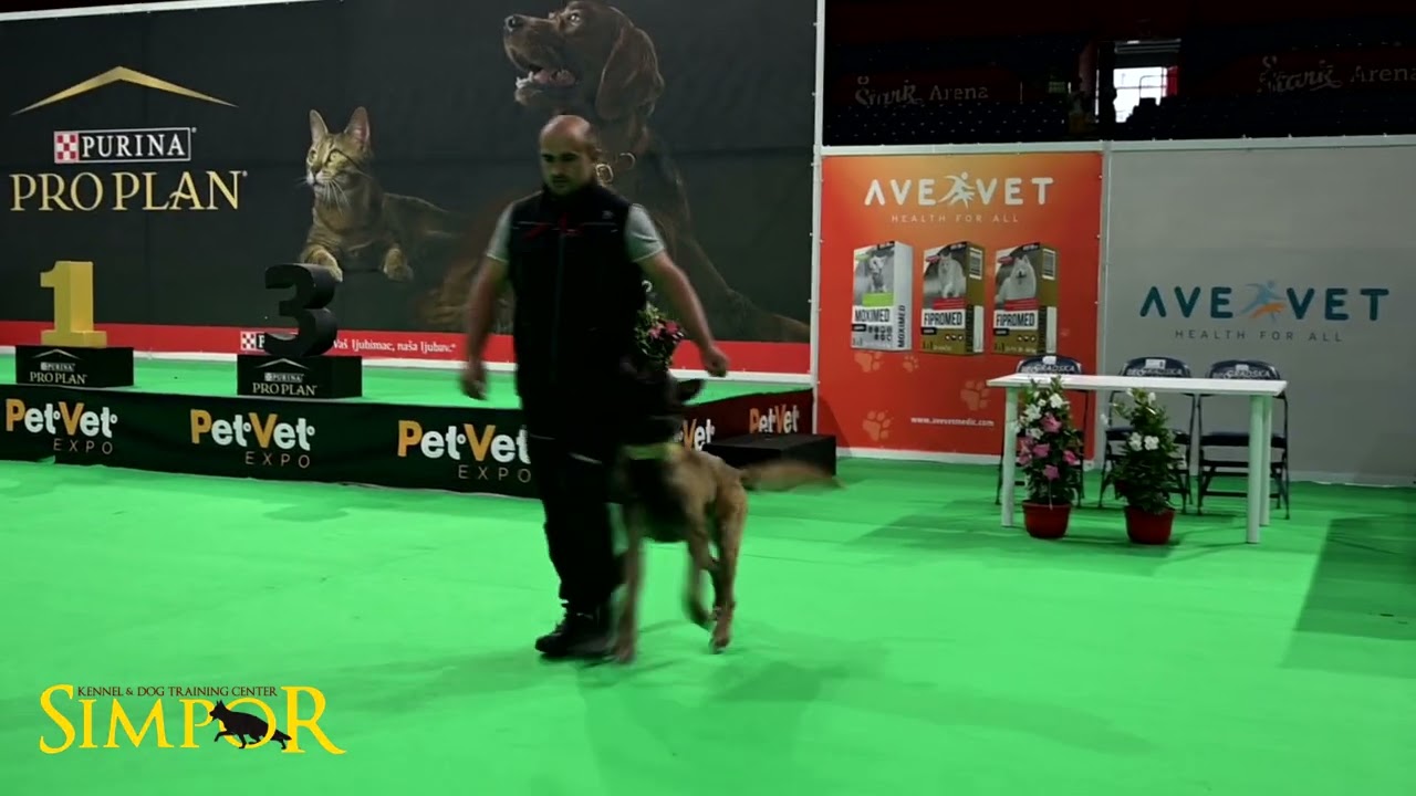 PetVet Expo 2023 - Simpor Dog Center & Klub 5 Zona presentation