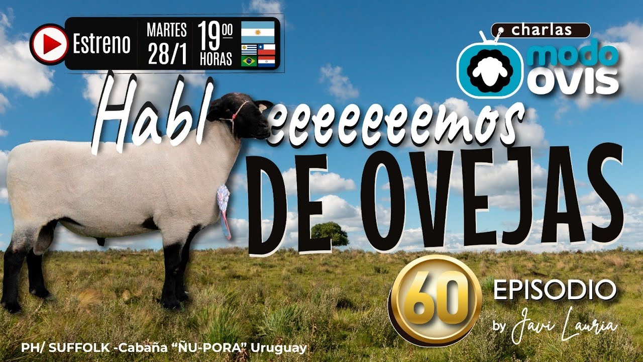 Hablemos de Ovejas! Episodio #60 - 28-1-25