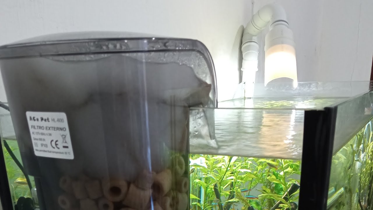 como turbinar o filtro hang on deixando o muito mais eficiente.