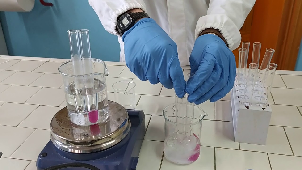 VELOCITA' REAZIONI CHIMICHE CINETICA  laboratorio chimica