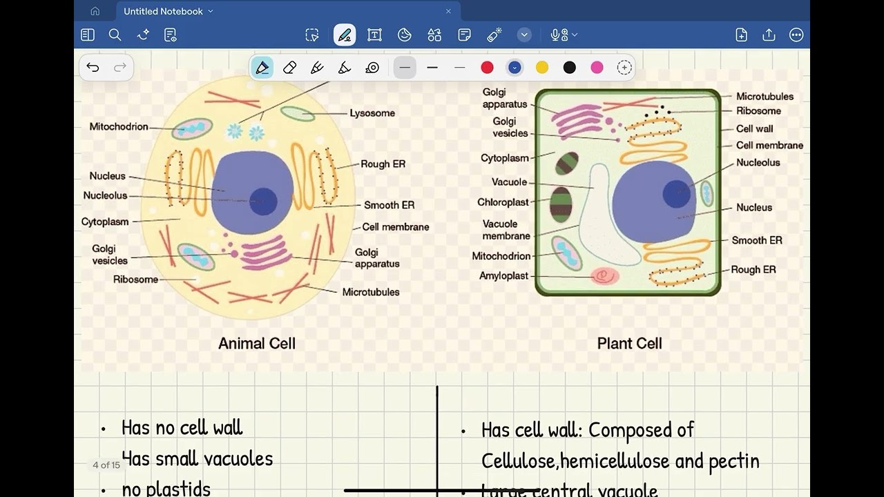 LO 2 biology G10 STEM (part 1)