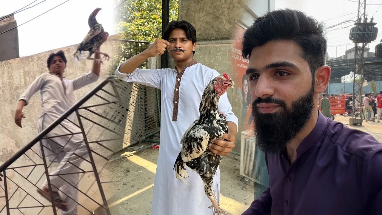 Abdullah na murga khareed lia