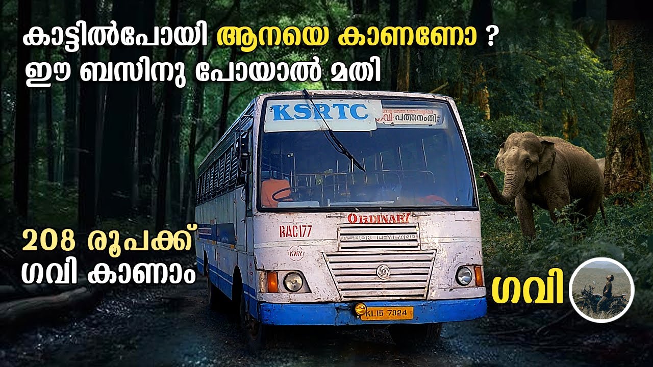 KSRTC Gavi bus Trip | കാട്ടിൽപോയി ആനയെ കാണണോ ? | Kumily to Pathanamthitta Ksrtc | Gavi Bus | free20