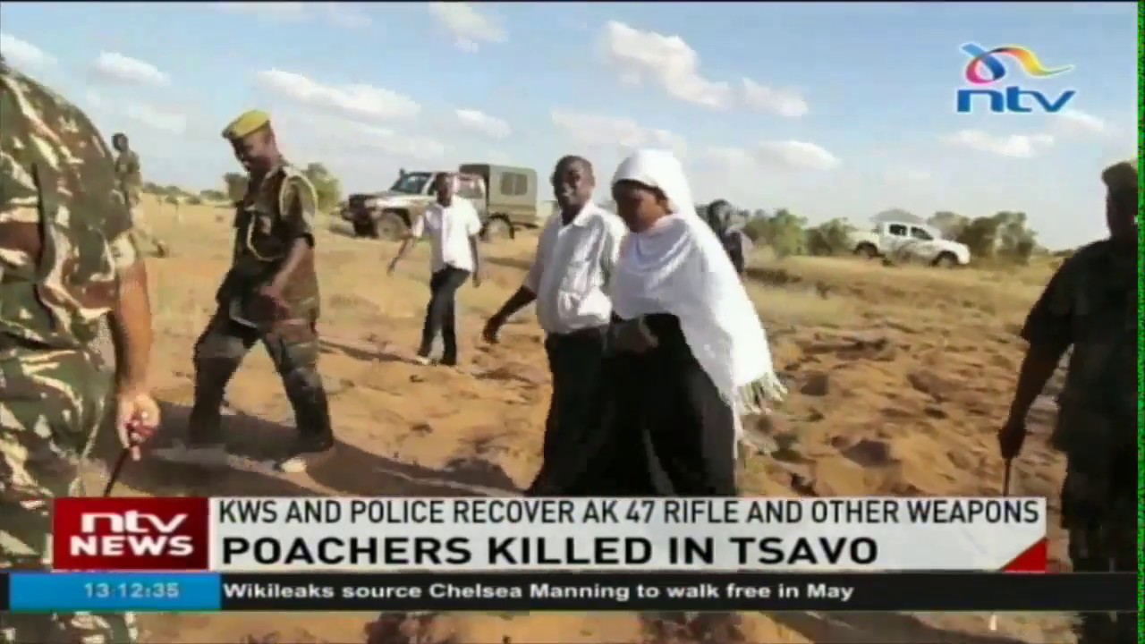Poachers killed in Tsavo: KWS and police recover weapons