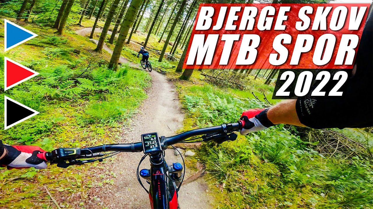 Bjerge Skov MTB 2022 💥 Alle de sjove nedkørsler i sommervejr