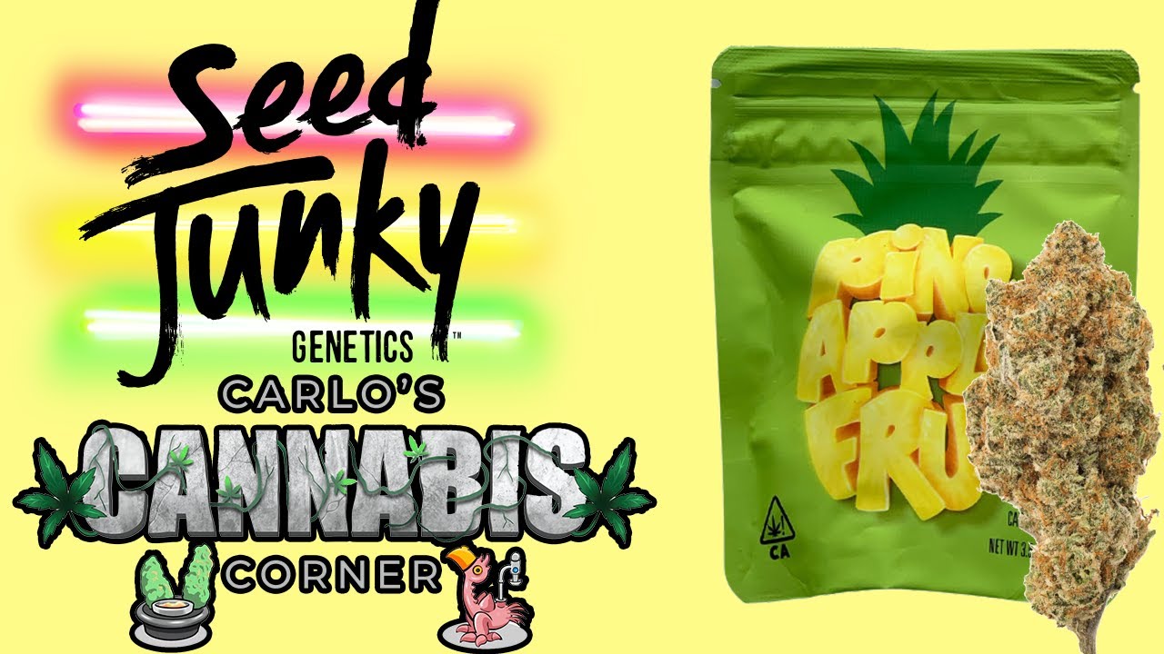 CCC Ep.17 SeedJunky Pinneaple Fruze