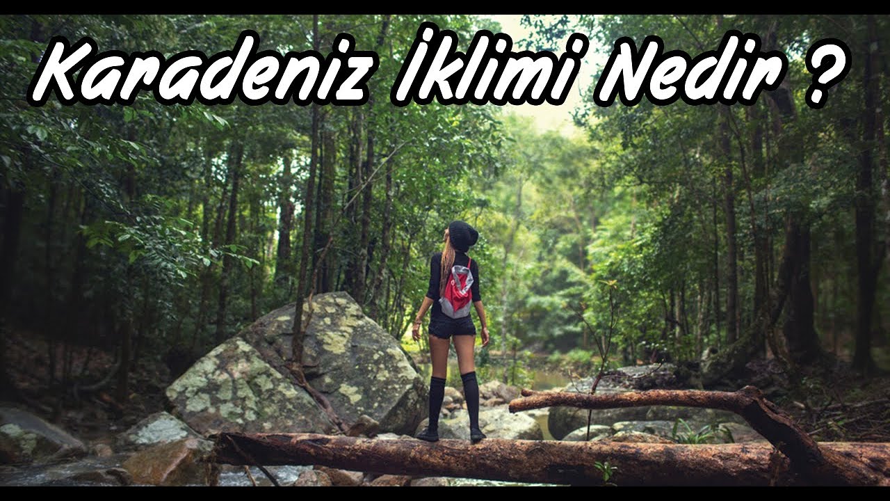 Karadeniz İklimi Nedir ? | Okyanusal