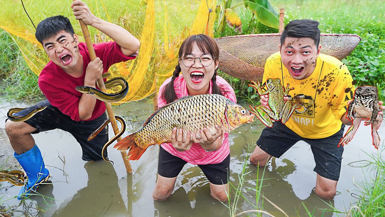 Hà Sam Cuộc Thi Bắt Cá Bằng Tất Cả Các Dụng Cụ - AI Bắt Được Nhiều Nhất Sẽ Thắng