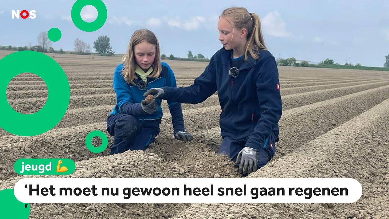 Lotte en Rosa hebben last van de droogte in Nederland