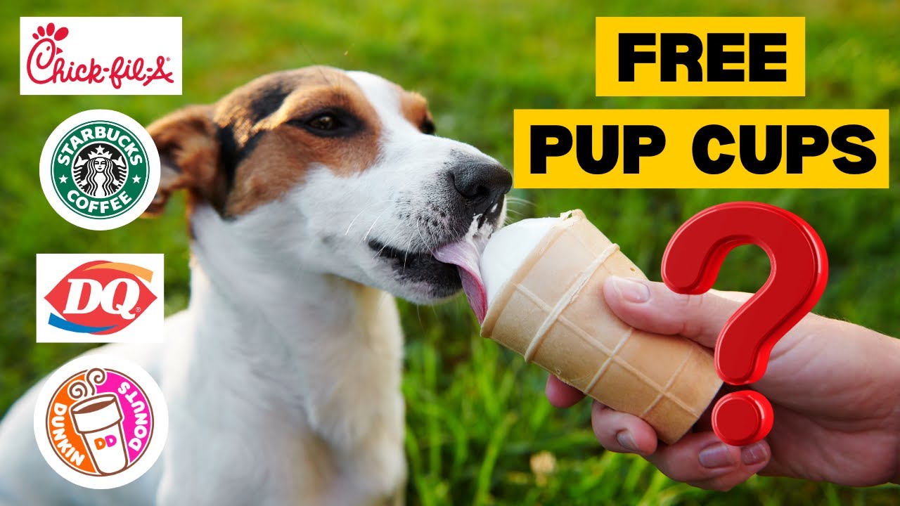 Places That Offer Pup Cups!