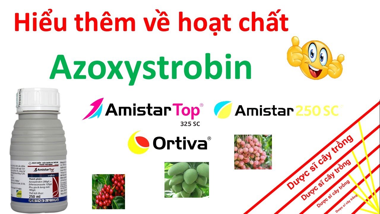 Hiểu thêm về hoạt chất Azoxystrobin trừ bệnh trên cây trồng nhé! | Amistar Top | Dược sĩ cây trồng