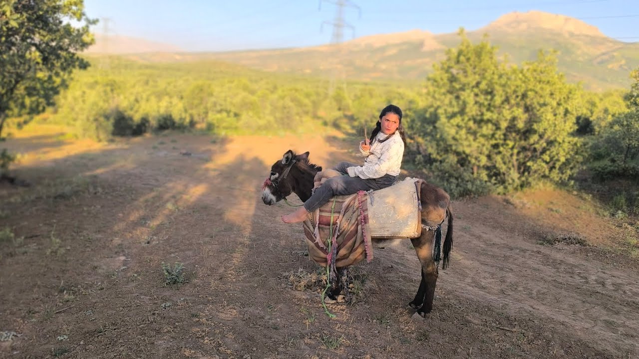 Donkey riding