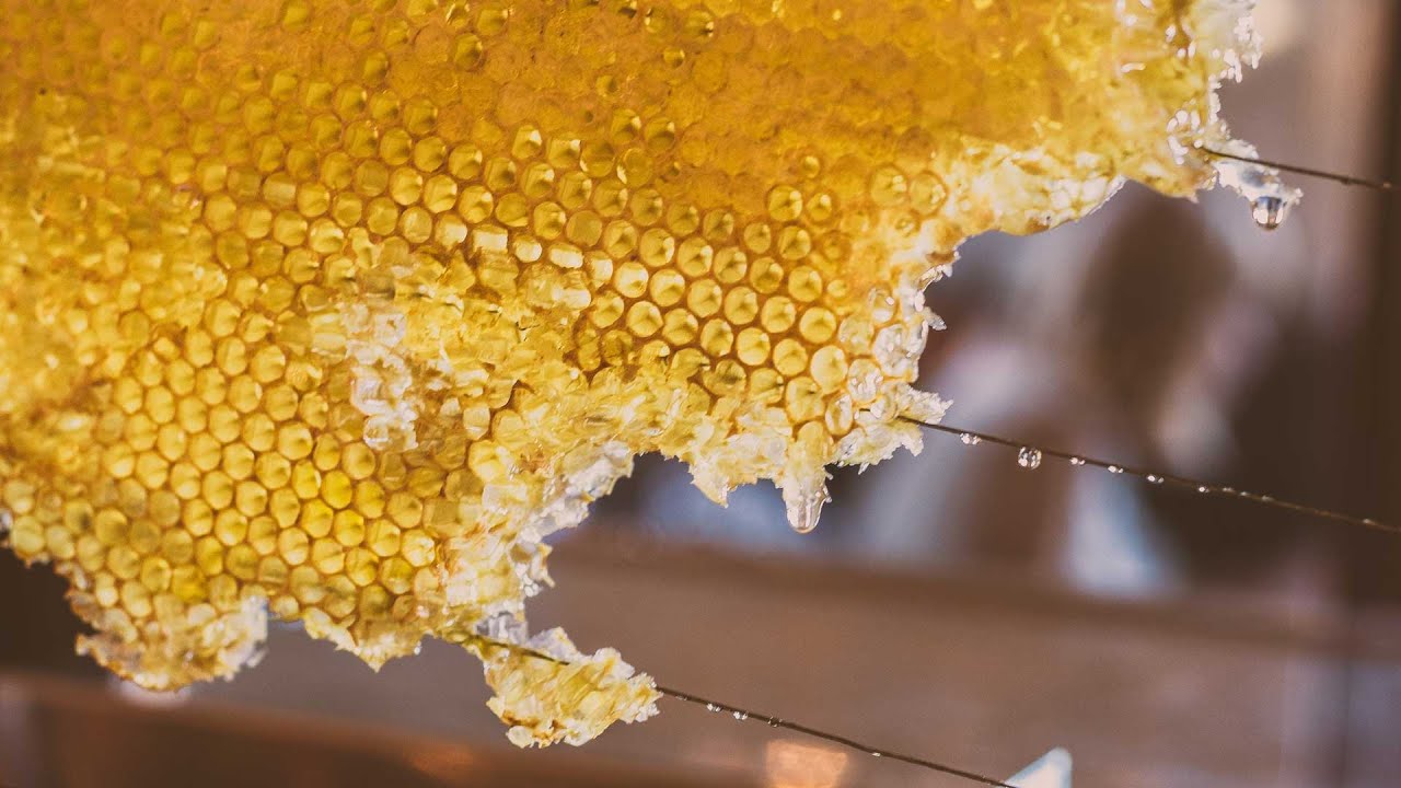How to Create Honeycomb in Houdini