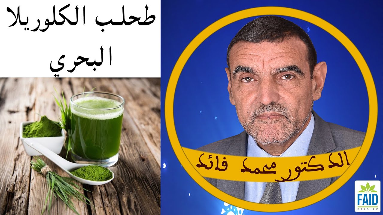 طحلب الكلوريلا البحري | الدكتور الفايد