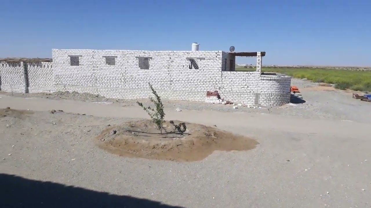الوادي الجديد الفرافرة ٥ فدان ب ٤٥٠الف جنيه بالبيت والطاقة الشمسية ٠١١٢٢٤٧٤١٨٩/٠١٠٣٠٠١٥٢٠٣