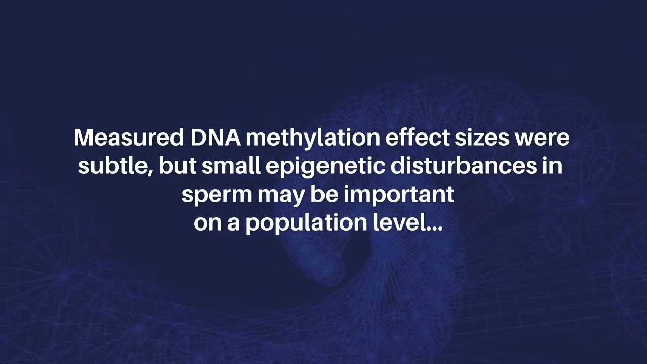 Paternal Age–Related DNA Methylation Changes in Sperm Linked to Autism Risk | Aging-US
