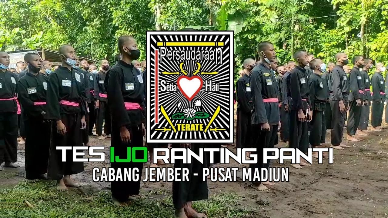 SERUNYA TES HIJAU PSHT
