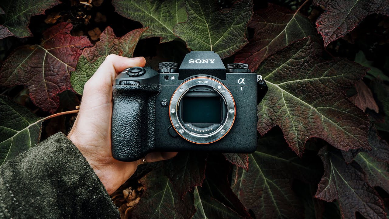 The Sony A1 II is boring&hellip; but that&rsquo;s a good thing