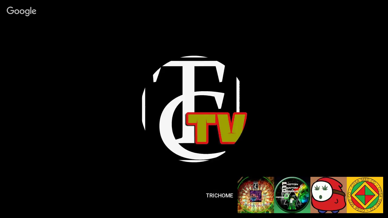 Trichome Chasers Grow Life Stream #37